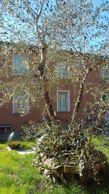 Ulivo Della Querce Villa Querce  Eksteriør billede