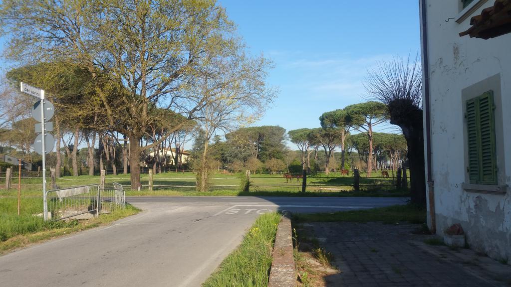 Ulivo Della Querce Villa Querce  Eksteriør billede