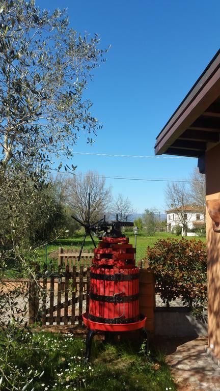 Ulivo Della Querce Villa Querce  Eksteriør billede